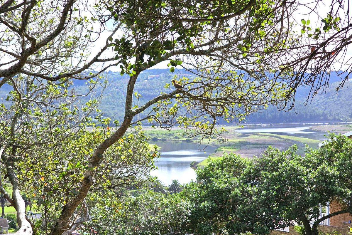 PEACE FOR THE SOUL - PRIME VACANT STAND IN GREAT BRAK RIVER - Photo 2