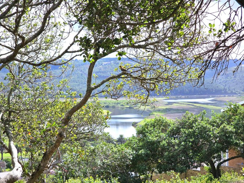 PEACE FOR THE SOUL - PRIME VACANT STAND IN GREAT BRAK RIVER - Photo 2