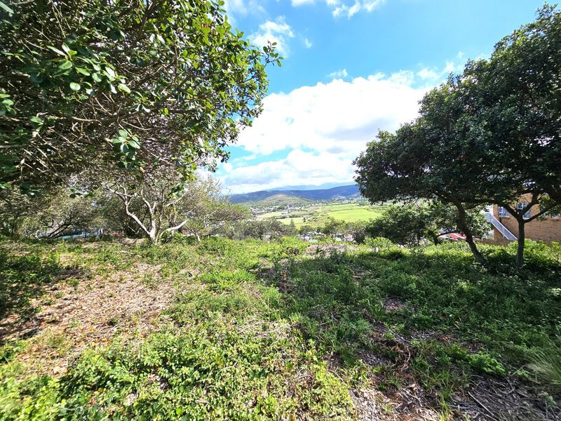 PEACE FOR THE SOUL - PRIME VACANT STAND IN GREAT BRAK RIVER - Photo 3