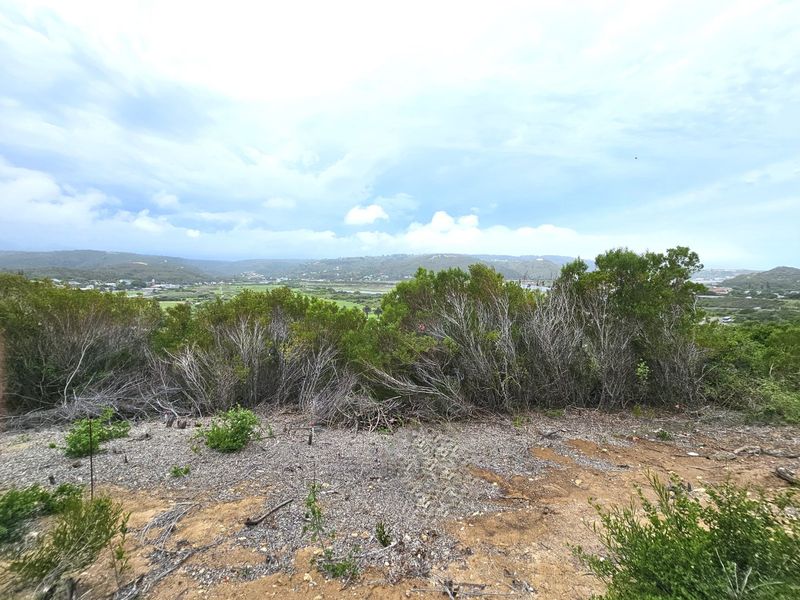 PEACE FOR THE SOUL - PRIME VACANT STAND IN GREAT BRAK RIVER - Photo 9