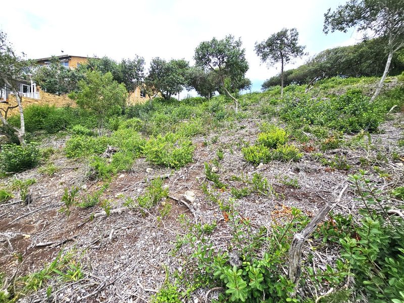 PEACE FOR THE SOUL - PRIME VACANT STAND IN GREAT BRAK RIVER - Photo 8