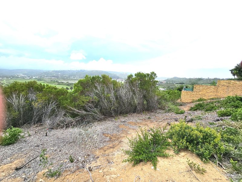 PEACE FOR THE SOUL - PRIME VACANT STAND IN GREAT BRAK RIVER - Photo 7