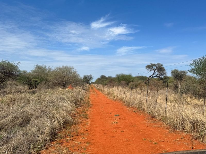 A view of a dirt access road running through the farm property, bordered by natural vegetation and a wire fence.