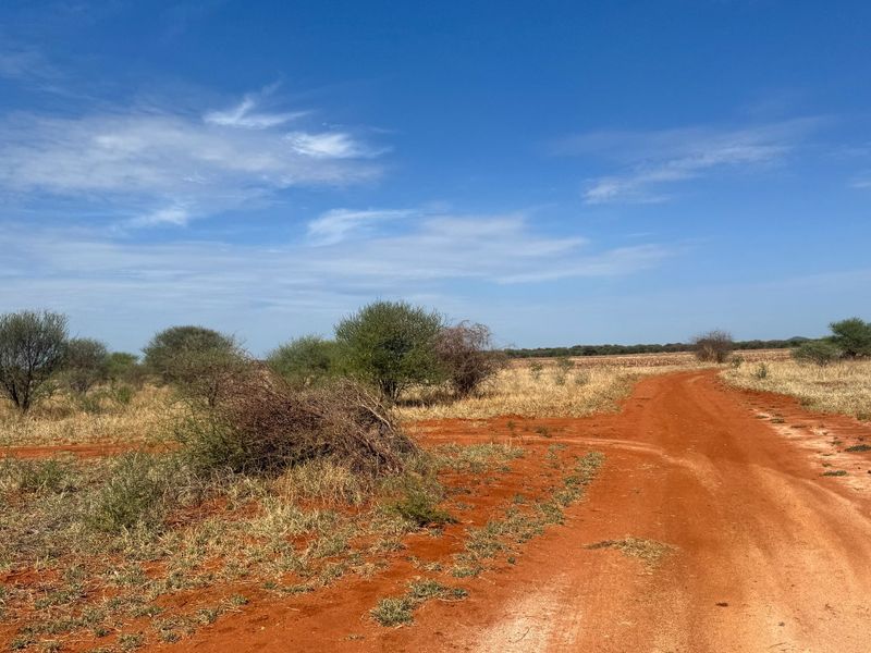 A wide-angle view of the expansive farm landscape featuring a natural dirt access road and native vegetation under a clear blue sky.