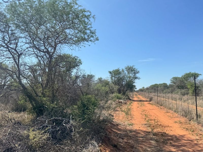 A view of a dirt farm road bordered by wire fencing and natural bushveld vegetation under a clear blue sky.
