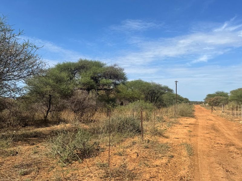 A dirt access road leading through the farm property, bordered by wire fencing and native bushveld vegetation under a clear blue sky.