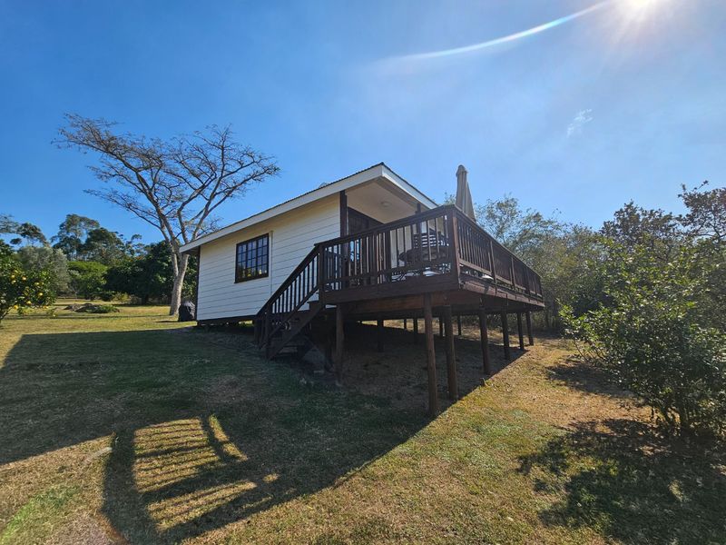 An 11 Bedroom Farm, Large Erf. Close to KMIA  - Photo 3