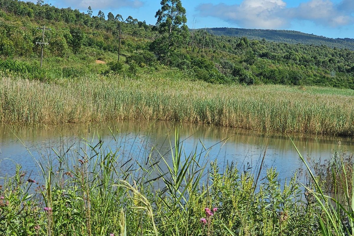 Mac Farm, Accomodation Opportunities with Multi Dwelling Houses - Photo 4