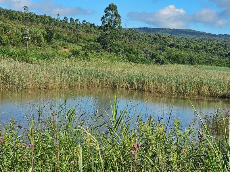 Mac Farm, Accomodation Opportunities with Multi Dwelling Houses - Photo 4