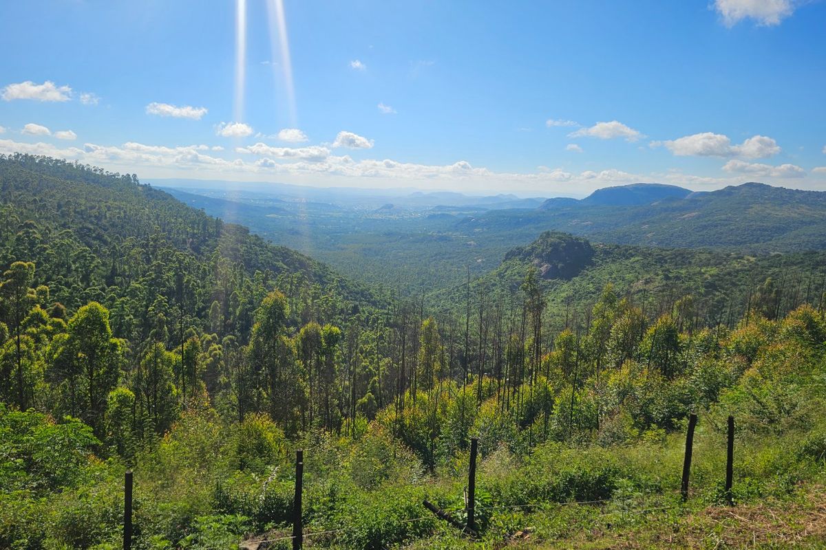 Mac Farm, Accomodation Opportunities with Multi Dwelling Houses - Photo 5