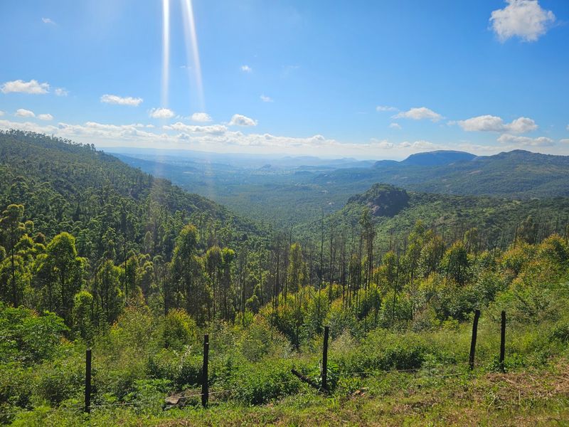 Mac Farm, Accomodation Opportunities with Multi Dwelling Houses - Photo 5