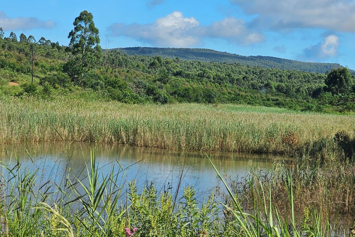 Mac Farm, Accomodation Opportunities with Multi Dwelling Houses - Photo 3