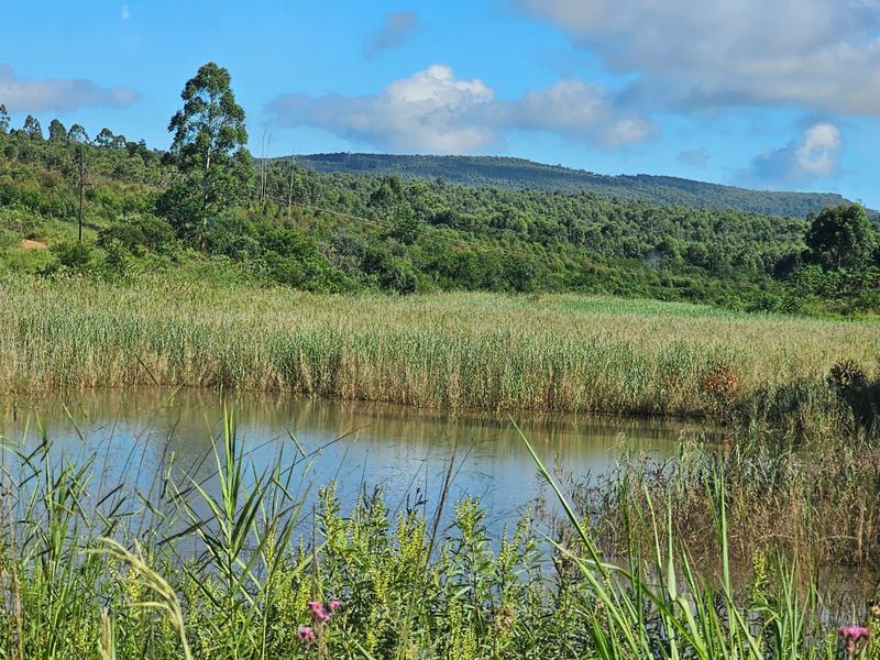 Mac Farm, Accomodation Opportunities with Multi Dwelling Houses - Photo 3