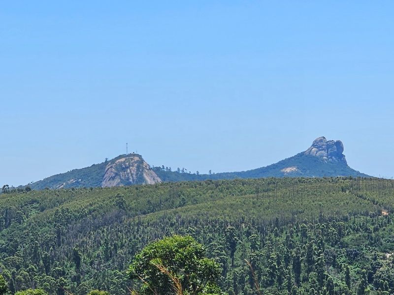Mac Farm, Accomodation Opportunities with Multi Dwelling Houses - Photo 10