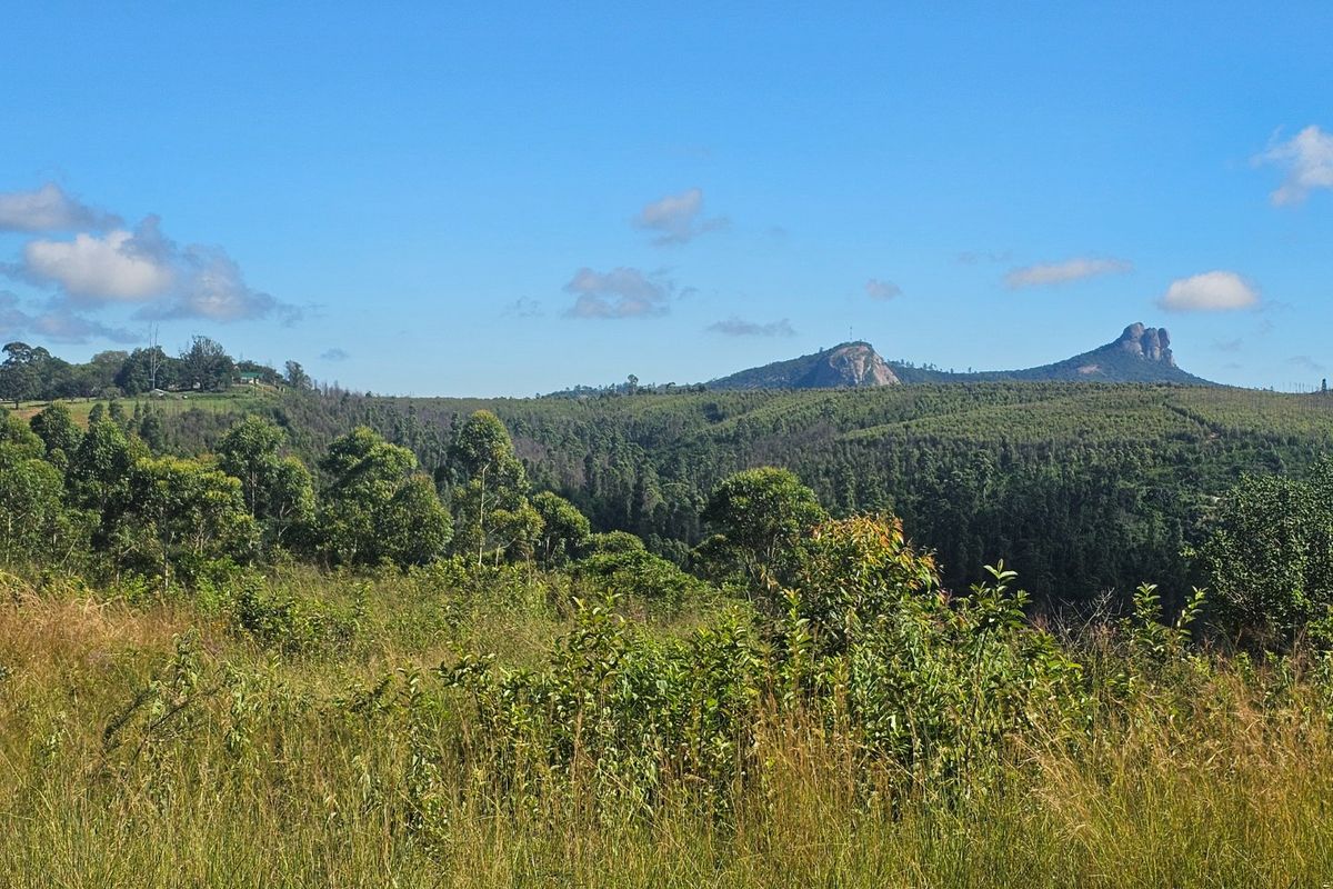 Mac Farm, Accomodation Opportunities with Multi Dwelling Houses - Photo 2