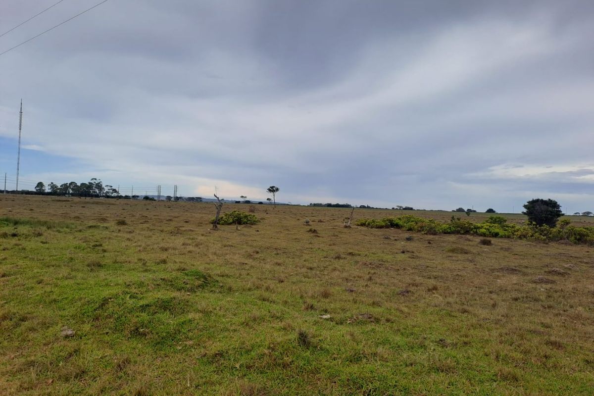 Huge vacant land in Greenbushes for sale - Photo 3
