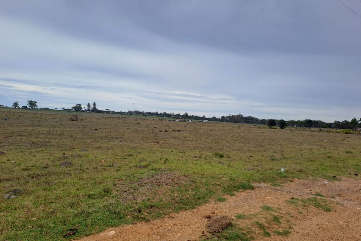 A wide-angle view of a vacant residential plot featuring open grassland and a dirt access path under an overcast sky.
