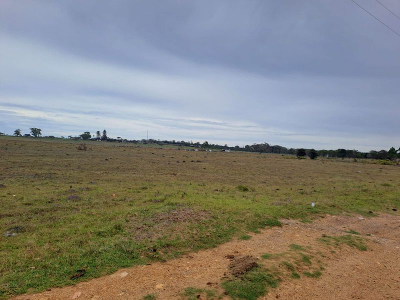 A wide-angle view of a vacant residential plot featuring open grassland and a dirt access path under an overcast sky.