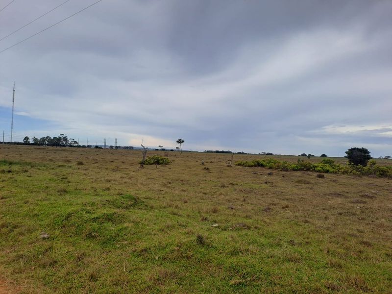 A wide-angle view of a vacant residential plot featuring open grassland and natural landscape.