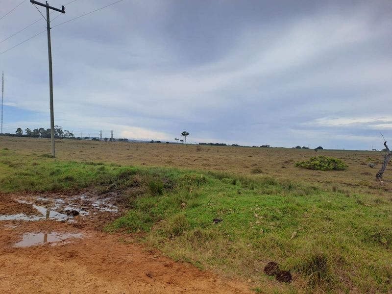 A view of a vacant residential land plot featuring open grassy terrain, an unpaved access area, and an existing utility pole.