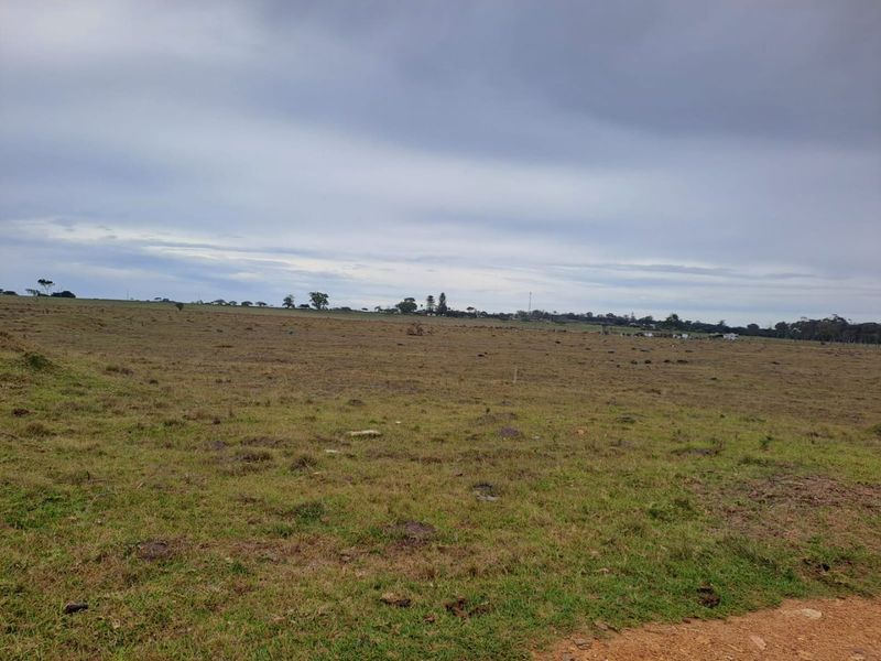 A wide-angle view of an expansive, undeveloped residential land plot featuring open grassy terrain under a cloudy sky.