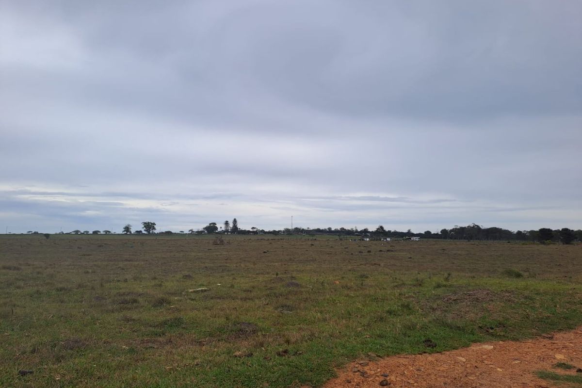 A wide, open expanse of vacant residential land featuring natural grass cover and a distant horizon under an overcast sky.