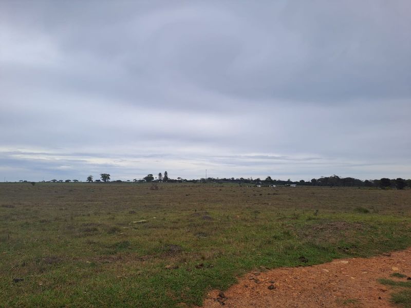 A wide, open expanse of vacant residential land featuring natural grass cover and a distant horizon under an overcast sky.