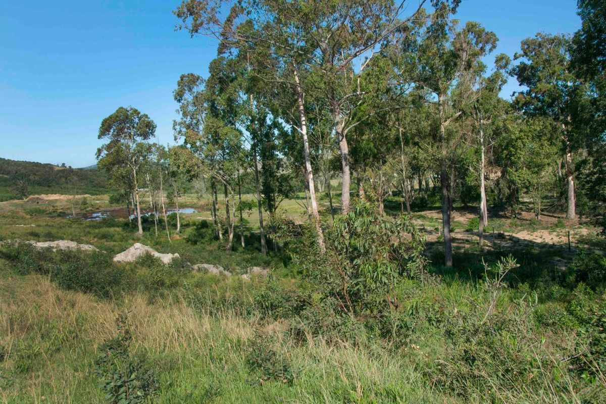 0 Bed Vacant Land in Royalston Residential Estate & Wildlife Reserve for Sale - Photo 5