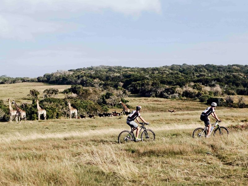 0 Bed Vacant Land in Royalston Residential Estate & Wildlife Reserve for Sale - Photo 3