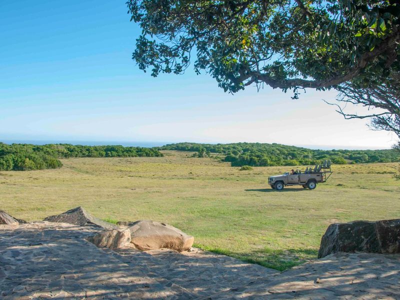 0 Bed Vacant Land in Royalston Residential Estate & Wildlife Reserve for Sale - Photo 9