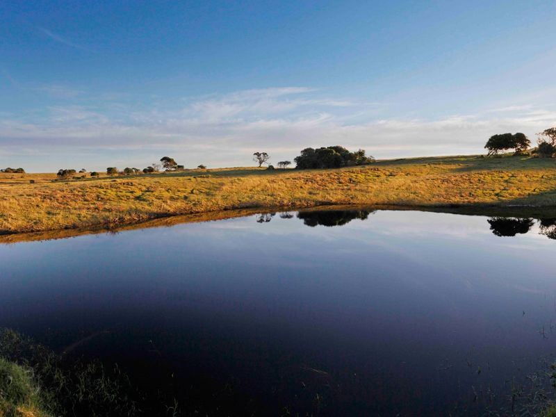 0 Bed Vacant Land in Royalston Residential Estate & Wildlife Reserve for Sale - Photo 7