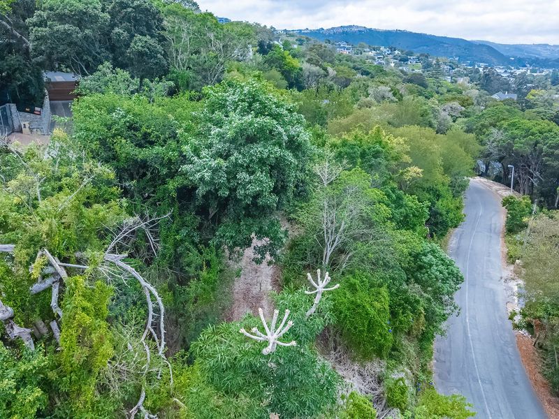 Breathtaking views of Knysna Heads and Lagoon - Photo 5