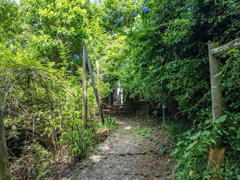 Breathtaking views of Knysna Heads and Lagoon - Photo 6