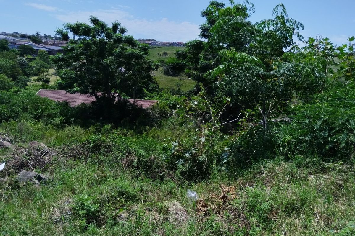 Site For Sale - Photo 2