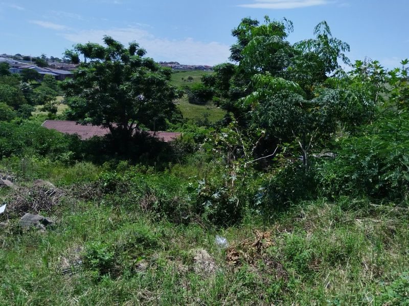 Site For Sale - Photo 2