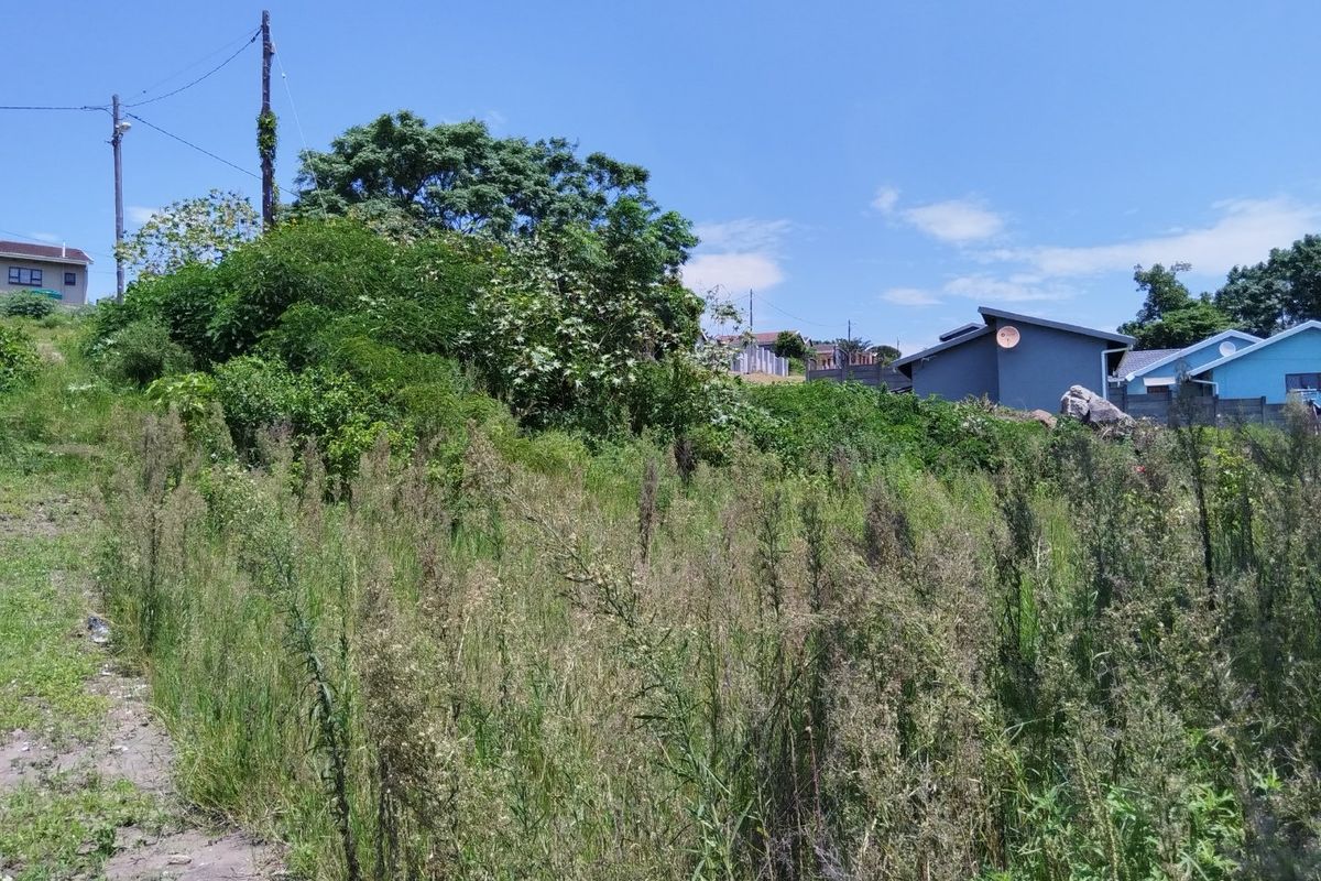 Site For Sale - Photo 3