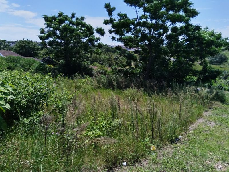 Site For Sale - Photo 10