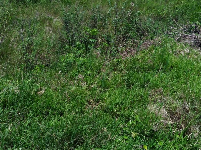 Site For Sale - Photo 7