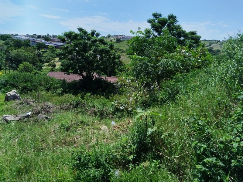 Site For Sale - Photo 6