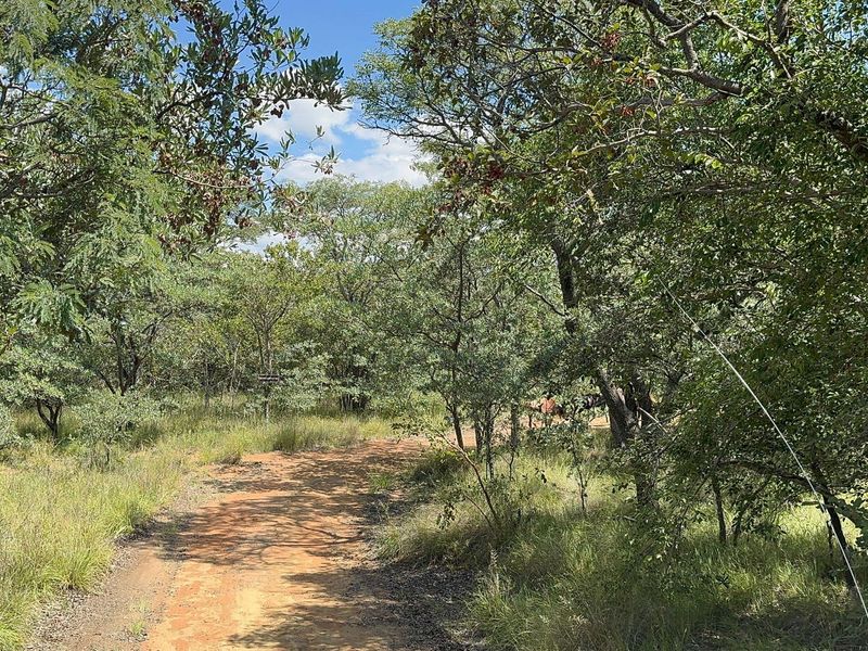 860 Hectares game farm with perfect location, safe and secure - Photo 10