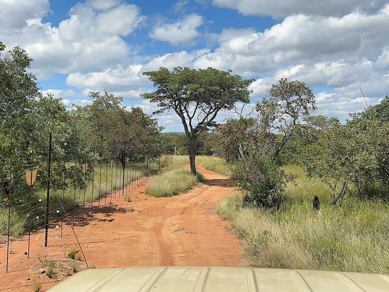 860 Hectares game farm with perfect location, safe and secure - Photo 7