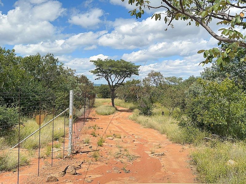 860 Hectares game farm with perfect location, safe and secure - Photo 6