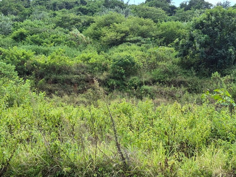 Prime Land for Sale in Desainagar  - Photo 4