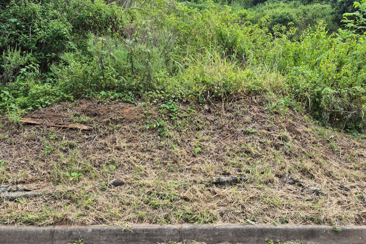 Prime Land for Sale in Desainagar  - Photo 2