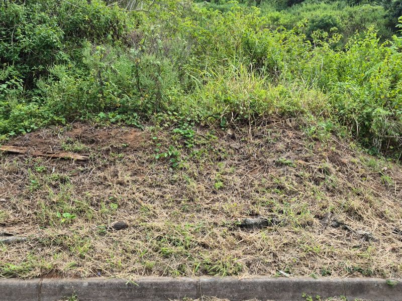 Prime Land for Sale in Desainagar  - Photo 2