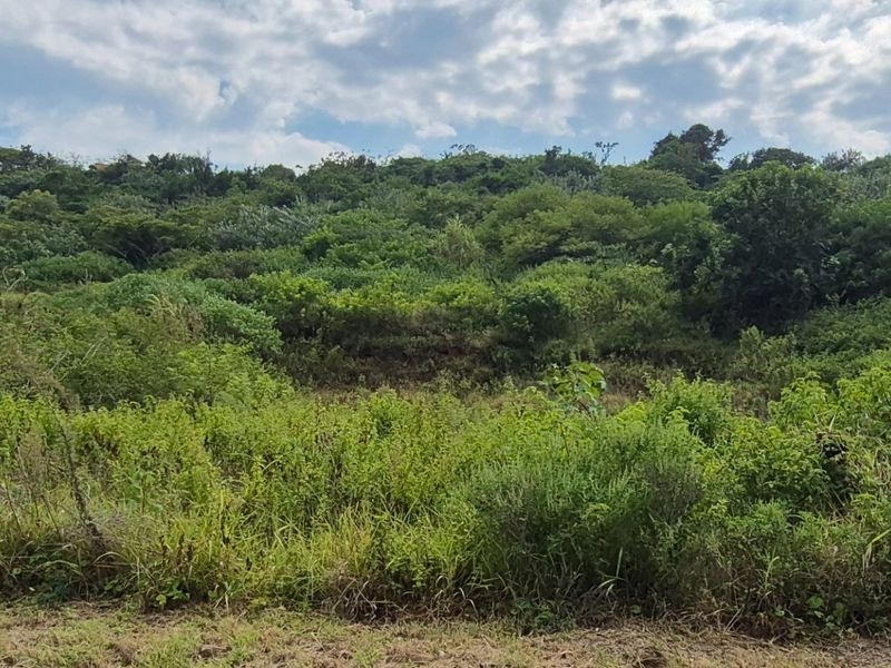 Prime Land for Sale in Desainagar  - Photo 7