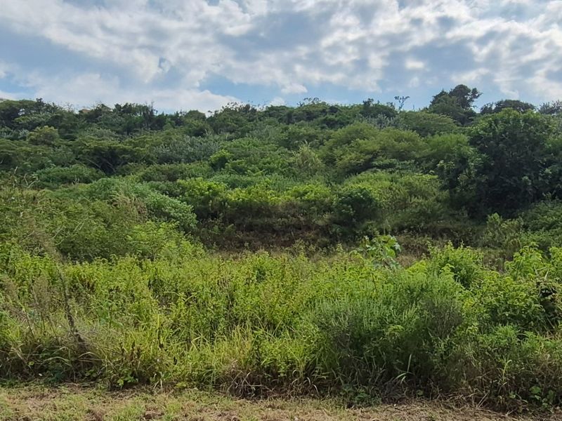 Prime Land for Sale in Desainagar  - Photo 6