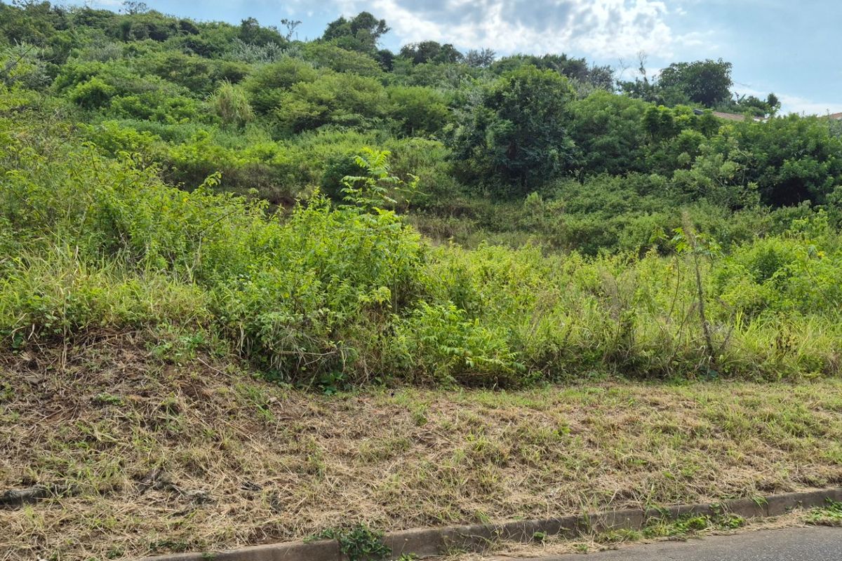 Prime Land for Sale in Desainagar  - Photo 3