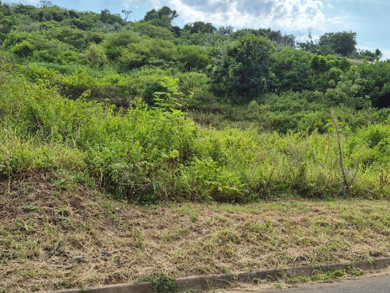 Prime Land for Sale in Desainagar  - Photo 3