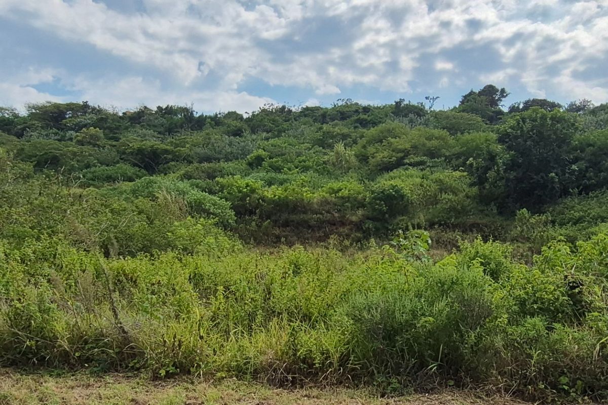 Prime Land for Sale in Desainagar  - Photo 5